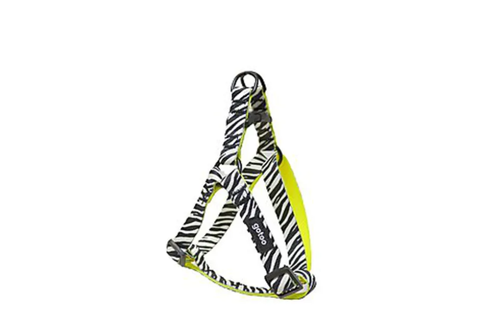 Gotoo - Harnais Zèbre pour Chien