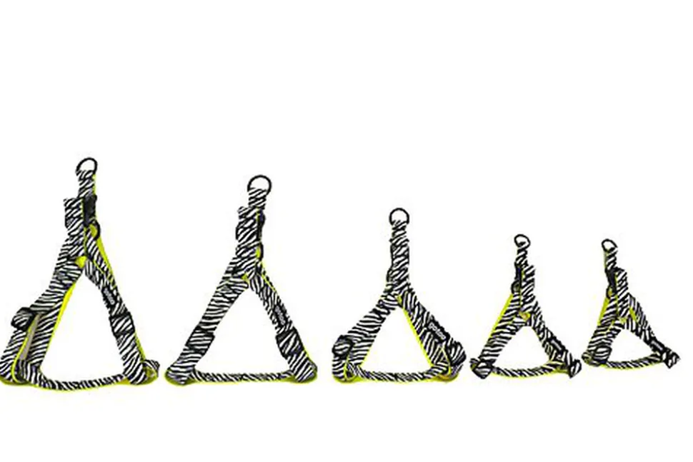 Gotoo - Harnais Zèbre pour Chien