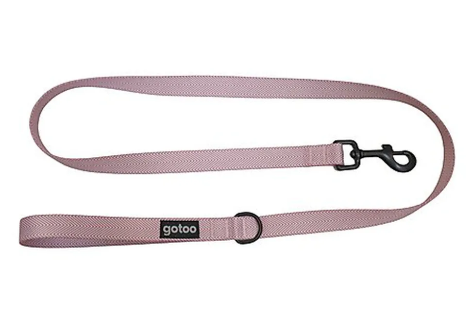 Gotoo - Laisse Chevron Rose pour Chien