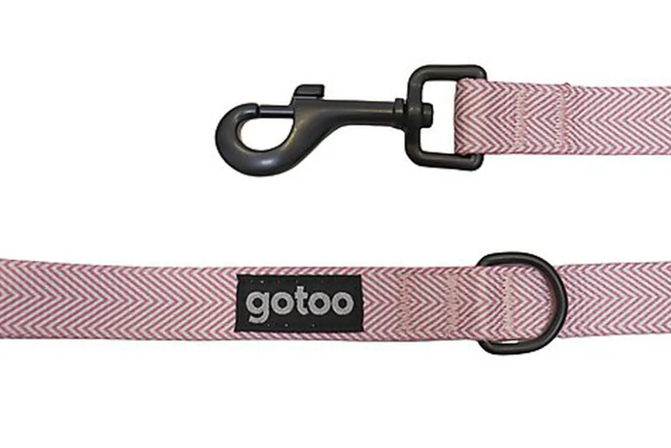Gotoo - Laisse Chevron Rose pour Chien