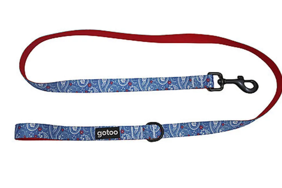 Gotoo - Laisse en Jean Bleu pour Chien - M