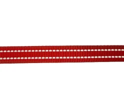 Gotoo - Laisse Essentials en Nylon Premium Rouge pour Chien