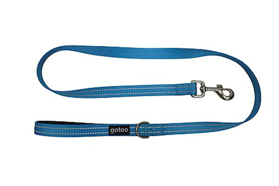 Gotoo - Laisse Essentials en Nylon Premium Bleu pour Chien