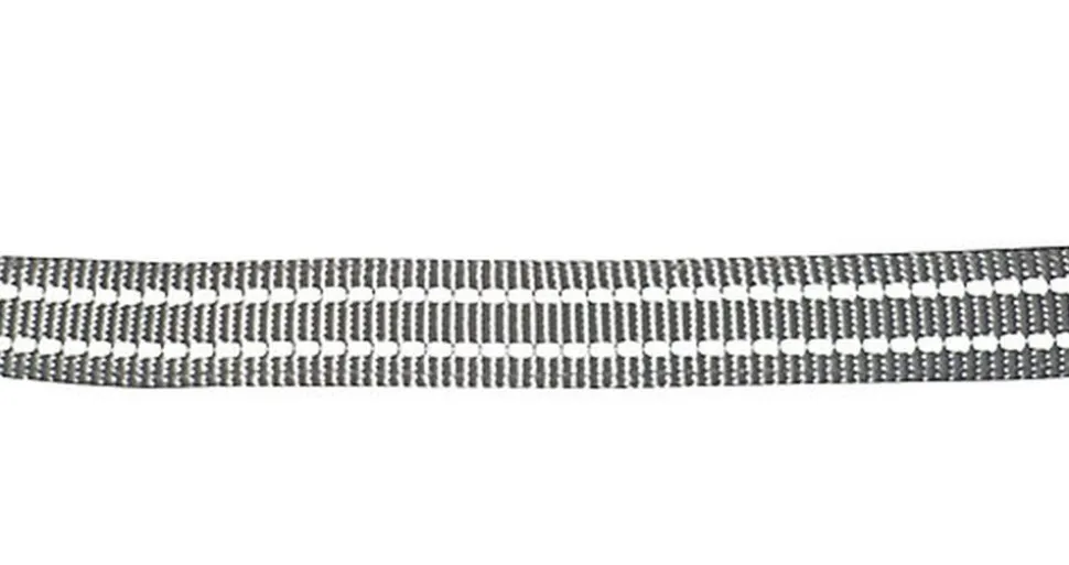 Gotoo - Laisse Essentials en Nylon Premium Gris pour Chien