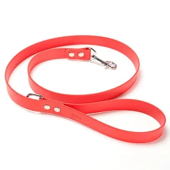 Gotoo - Laisse Premium Biotane pour Chien