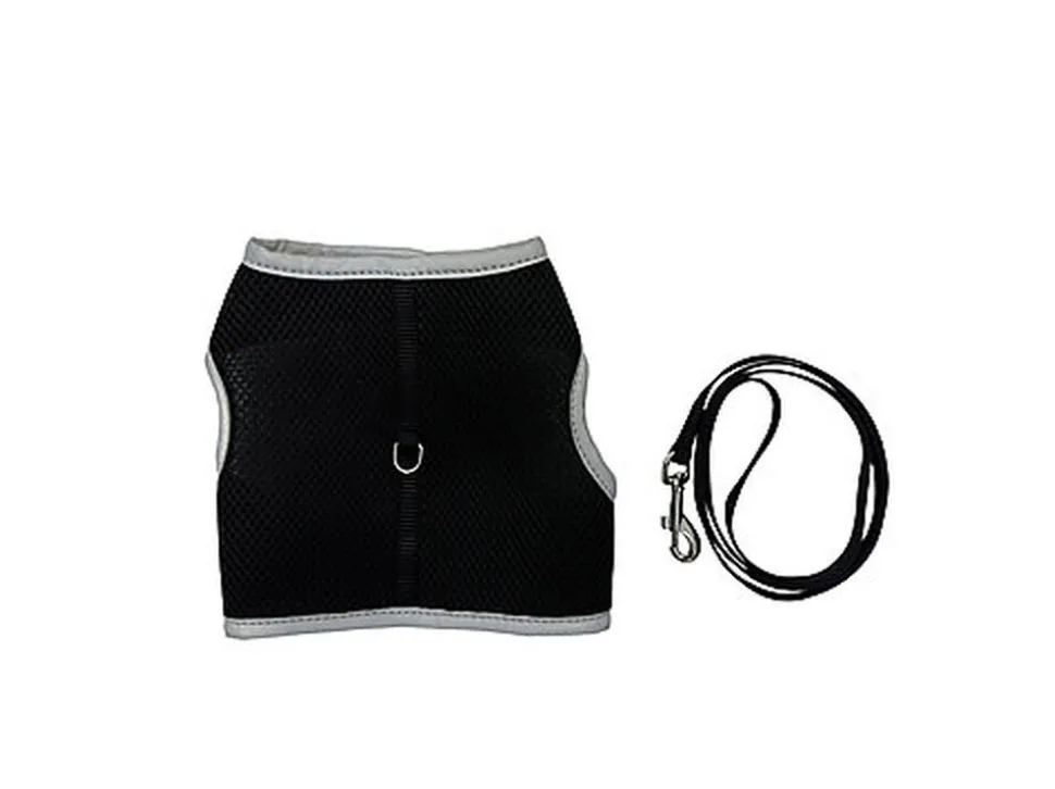 Gotoo - Set Essentiels pour Chat