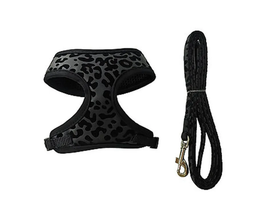 Gotoo - Set Funny pour Chat