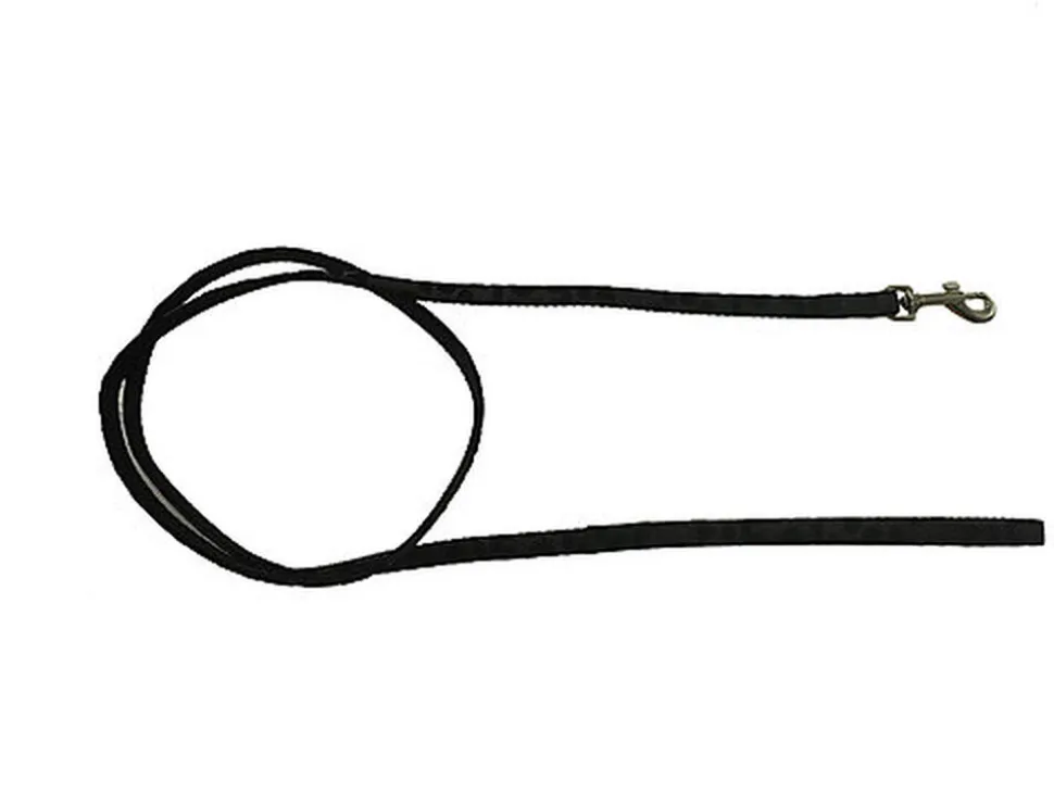 Gotoo - Set Funny pour Chat