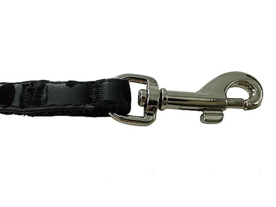 Gotoo - Set Funny pour Chat