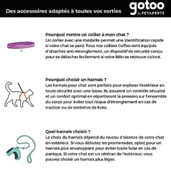 Gotoo - Set Funny pour Chat