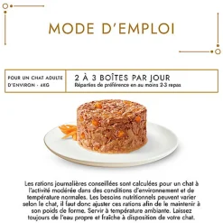 GOURMET - Boîtes GOLD Les Timbales Multi Variétés aux Légumes pour Chats - 12x85g