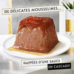 GOURMET - Repas REVELATIONS Mousseline Boeuf nappée de sauce pour Chats - 4X57g