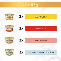 GOURMET - Sachets fraîcheur GOLD Les Effilochés en Sauce pour chats adultes - 12x85g