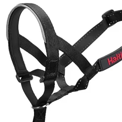Halti - Licol Headcollar Noir pour Chiens