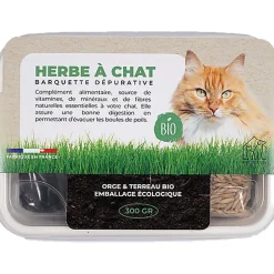 Herbe à chat Barquette 300gr BIO