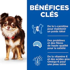 Hill's - Canine Adult Light Small & Mini Poulet pour Chien