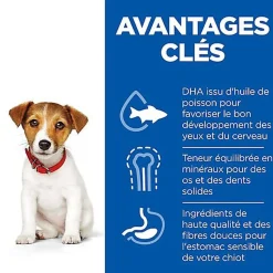 Hill's - Canine Puppy Small & Mini Poulet pour Chiot