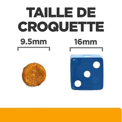 Hill's - Croquettes Prescription Diet C/D Urinary Care au Poulet pour Chat