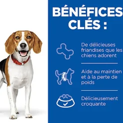 Hill's - Healthy Weight Treats Friandises Pour Chien  - 220g