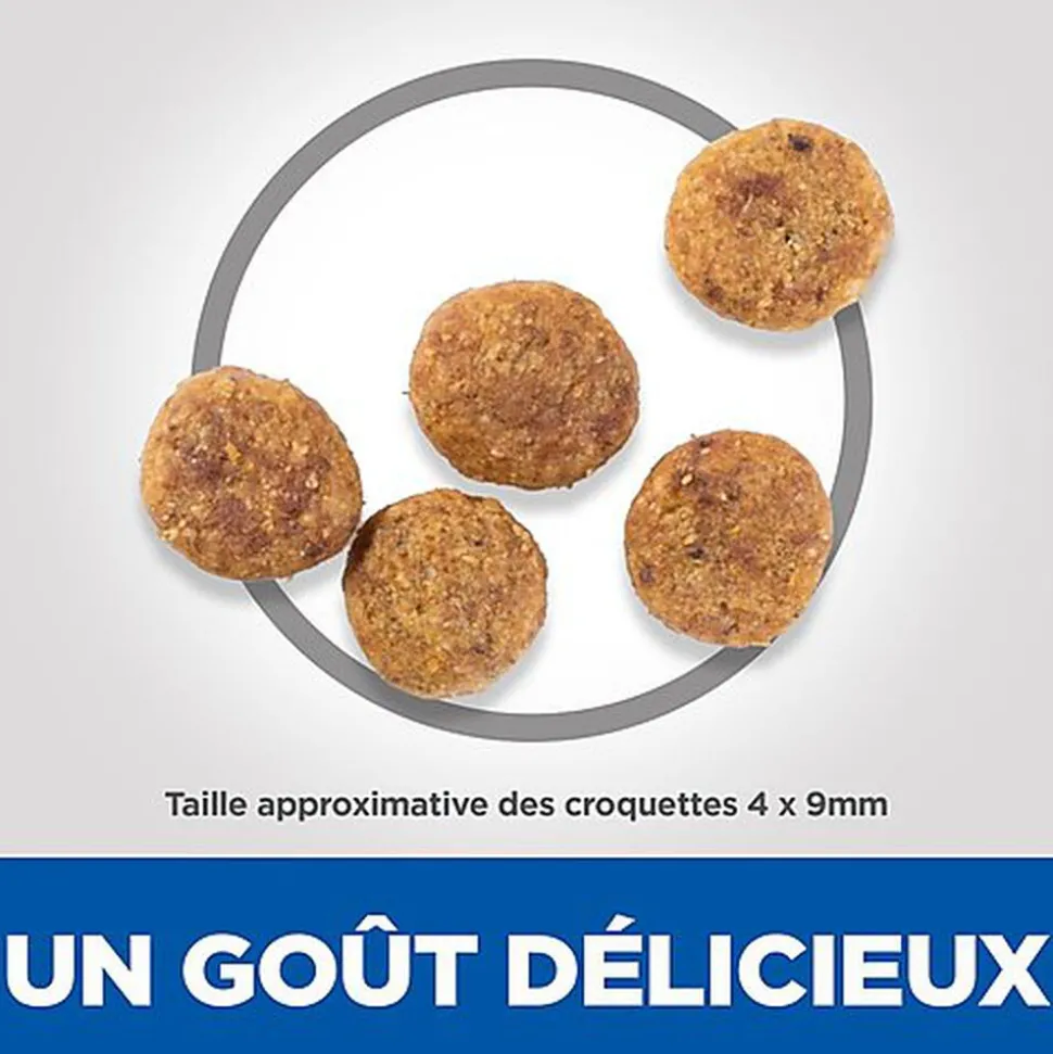Hill's Science Plan - Adult Perfect Weight Small&Mini Croquettes Pour Petit Chien Au Poulet - 1,5kg