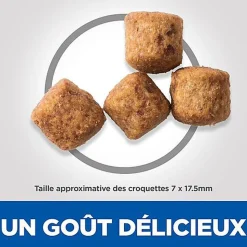 Hill's Science Plan - Adult Light Croquettes Pour Grand Chien Au Poulet  - 18kg