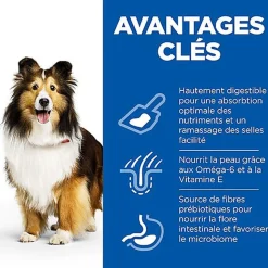 Hill's Science Plan - Adult Sensitive Stomach & Skin Croquettes Pour Chien Au Poulet  - 12kg