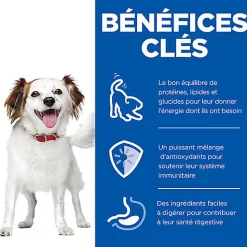 Hill's Science Plan - Adult Small&Mini Mousse Pour Chien Adulte De Petite Race Bœuf  - 200g