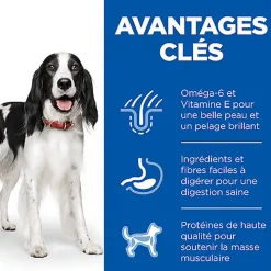 Hill's Science Plan - Adult Boite Pour Chien A La Dinde  - 370g