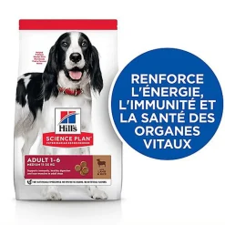Hill's Science Plan - Adult Croquettes Pour Chien A L'agneau Et Riz  - 12kg