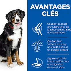 Hill's Science Plan - Adult Croquettes Pour Grand Chien A L'agneau Et Riz  - 12kg