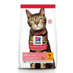 Hill's Science Plan - Croquettes Light Adult Poulet pour Chat