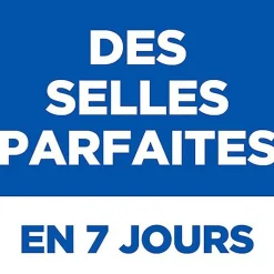 Hill's Science Plan - Croquettes Adulte Perfect Digestion au Poulet pour Chat