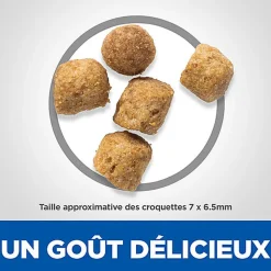 Hill's Science Plan - Croquettes Urinary & Sterilised au Poulet pour Chat