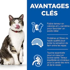 Hill's Science Plan - Mature Adult Light Croquettes Pour Chat Agé Au Poulet -  7kg