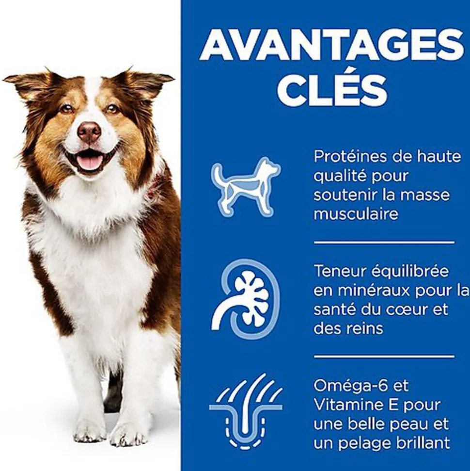 Hill's Science Plan - Mature Adult Croquettes Pour Chien Agé Au Poulet - 12kg