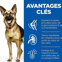 Hill's Science Plan - Mature Adult Croquettes Pour Grand Chien Agé Au Poulet - 18kg