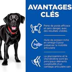 Hill's Science Plan - Perfect Weight & Active Mobility Croquettes Chien Adulte Grande Race Poulet -12kg