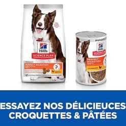 Hill's Science Plan - Perfect Digestion Medium Croquettes Pour Chien - 2,5kg
