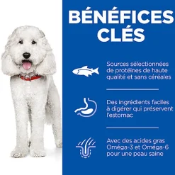 Hill's Science Plan Hypoallergenic Adult Croquettes pour Chien Adulte au Saumon