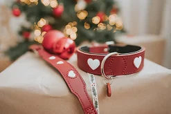 Hunter - Collier Love en Cuir de Bœuf Rouge pour Chiens