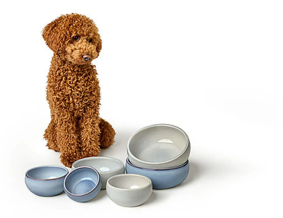 Hunter - Gamelle Braga en Céramique Multicolore