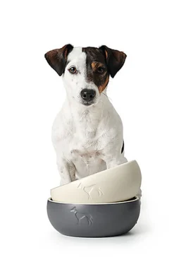 Hunter - Gamelle Lund en Céramique Blanc