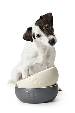 Hunter - Gamelle Lund en Céramique Gris