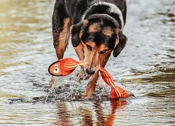 Hunter - Jouet Aqua Mindelo 52cm pour Chiens