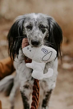 Hunter - Jouet Peluche Barry Forme de Chiens - 16cm