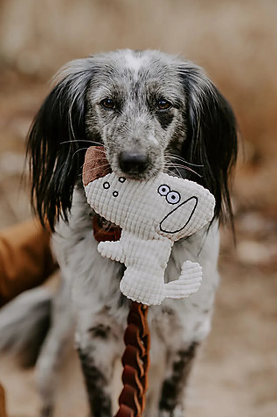 Hunter - Jouet Peluche Barry Forme de Chiens - 16cm