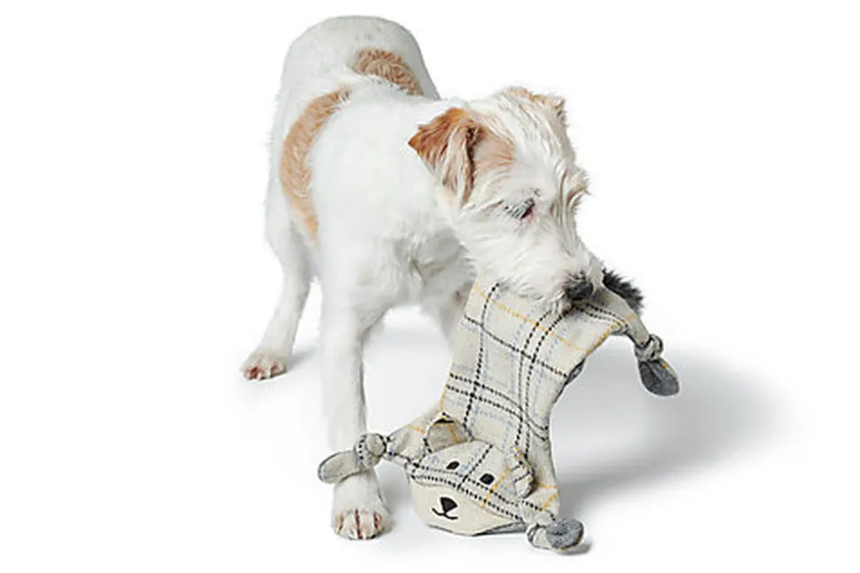 Hunter - Jouet Tapis à Renifler Billund Renard - 40cm