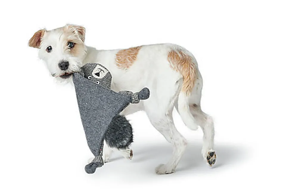 Hunter - Jouet Tapis à Renifler Billund Ours Plat - 40cm