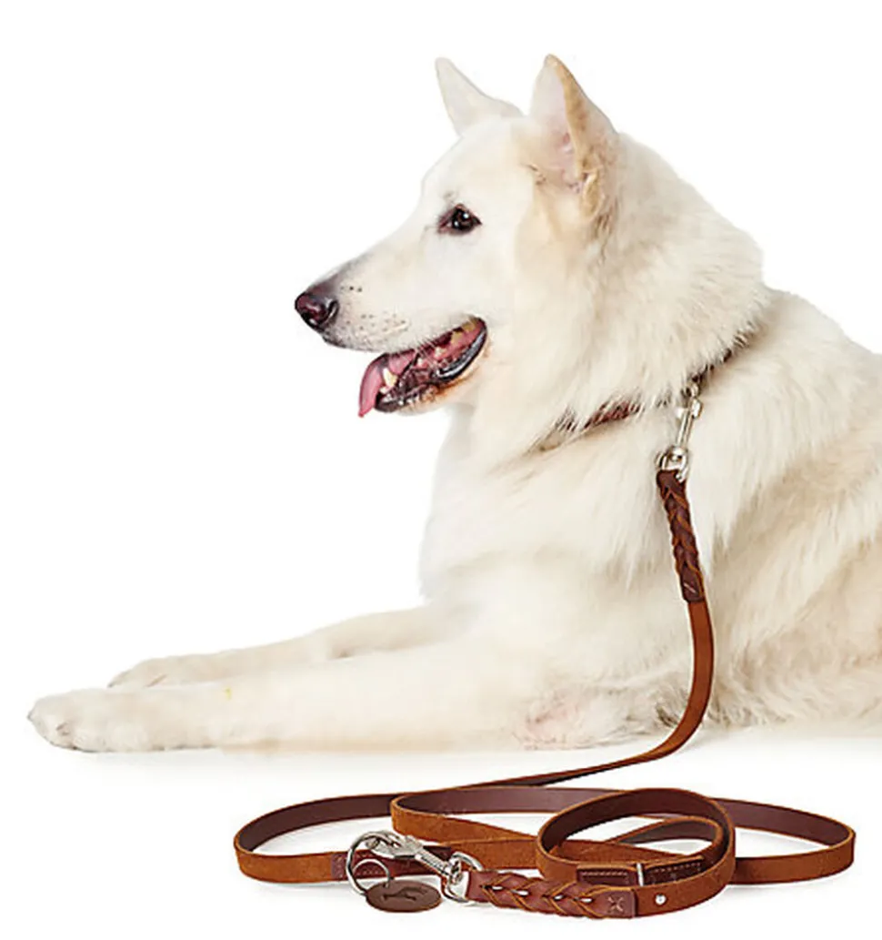 Hunter - Laisse Solid Education en Cuir de Bœuf Cognac