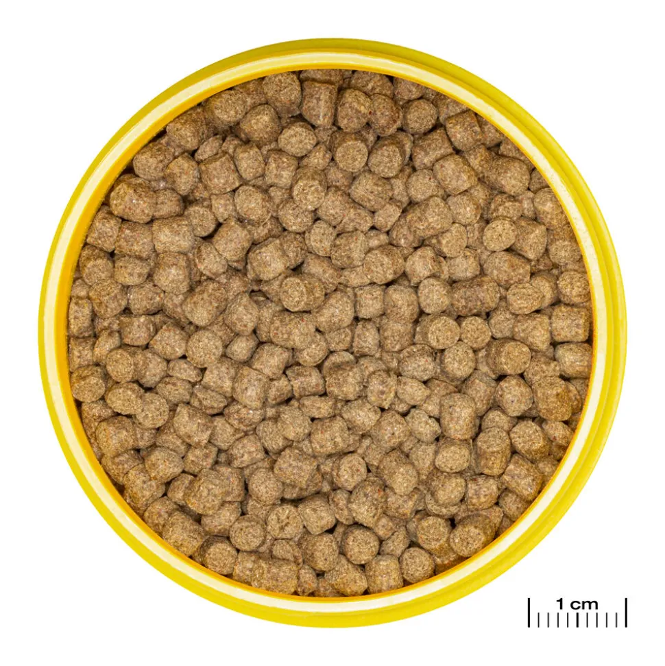 JBL - Aliment en Granulés Pronovo LOTL GRANO M pour Poissons Tropicaux - 250ml